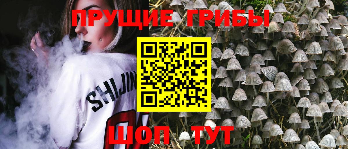 Галлюциногенные грибы GOLDEN TEACHER Благовещенск